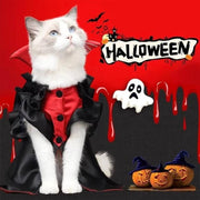 White cat wearing a red and black vampire Halloween costume with cape and collar sitting beside pumpkins and ghost decoration